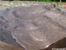 Topo Brass Relief of Mt Greylock, very well done.