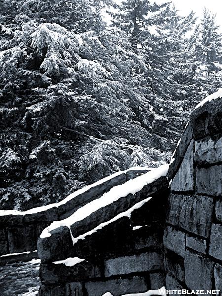 Snowy Wall & Hemlocks