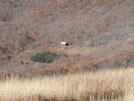 Over Mountain Shelter by little bear in Trail & Blazes in North Carolina & Tennessee