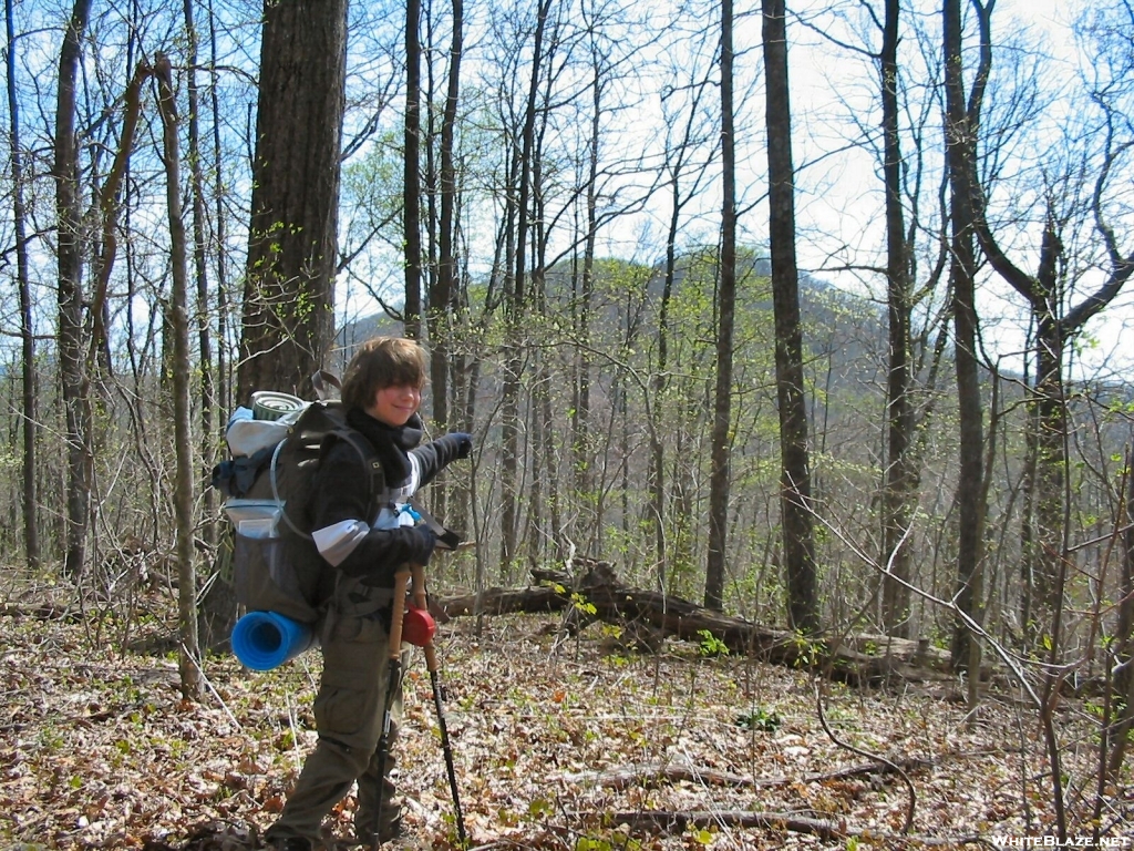 View of Sassafras Mtn