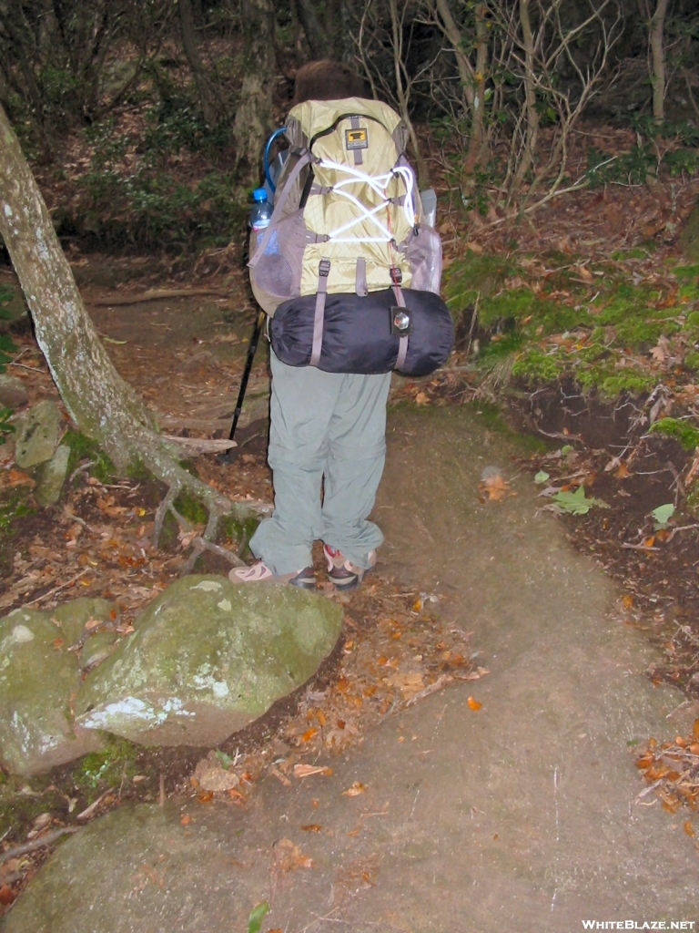 Hiking up Blood Mtn