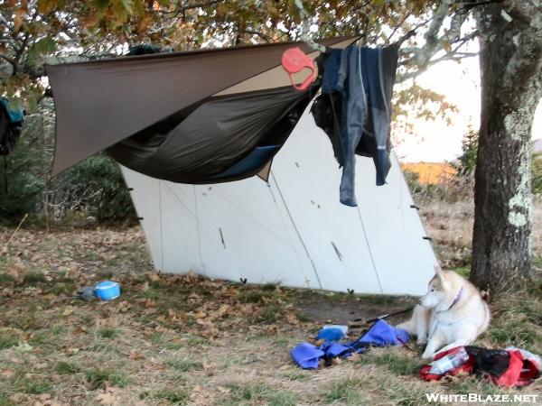 hammock hanging on shining rock