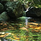 a small stream along the A-Z trail