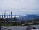 View near Clingman's parking lot by Uncle Wayne in Views in North Carolina & Tennessee