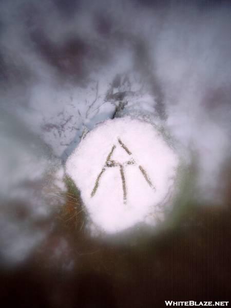 A.T.in da snow