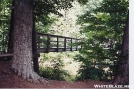 Bridge over the River Tye by Uncle Wayne in Trail & Blazes in Virginia & West Virginia