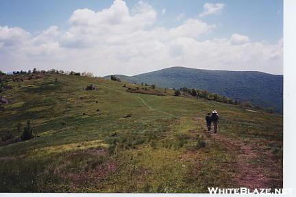 Cold Mountain Trail