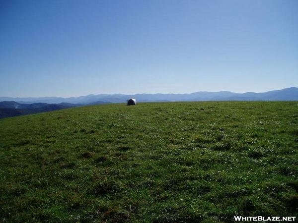 Max Patch View