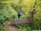 Hog Barrier in the Smokies photo 1 by Uncle Wayne in Trail & Blazes in North Carolina & Tennessee