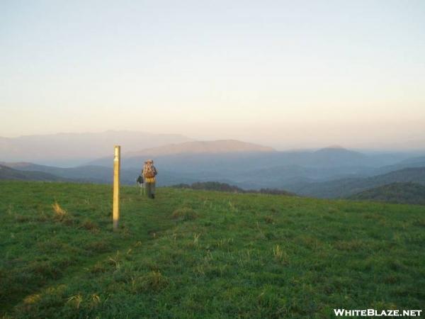 Leaving Max Patch Bald