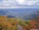 View from Mt. Cammerer