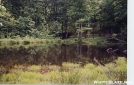 Punch Bowl Shelter by Uncle Wayne in Virginia & West Virginia Shelters