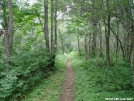 SNP groomed trail by Tuxedo in Views in Virginia & West Virginia