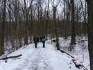 Indiana Whiteblazers In Deam Wilderness