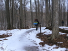 Indiana Whiteblazers In Deam Wilderness