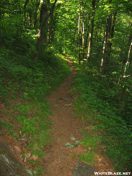 Unicoi To Deep Gap, Nc Section Hike June 18-21, 2008