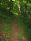 Unicoi To Deep Gap, Nc Section Hike June 18-21, 2008