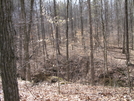 Tecumseh Trail (indiana)