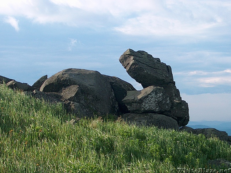 Stone Dragon on Little Hump Mountain