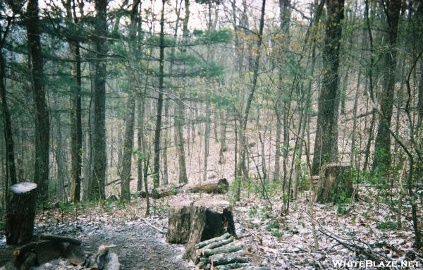 Cold morning at Wood's hole Shelter, GA