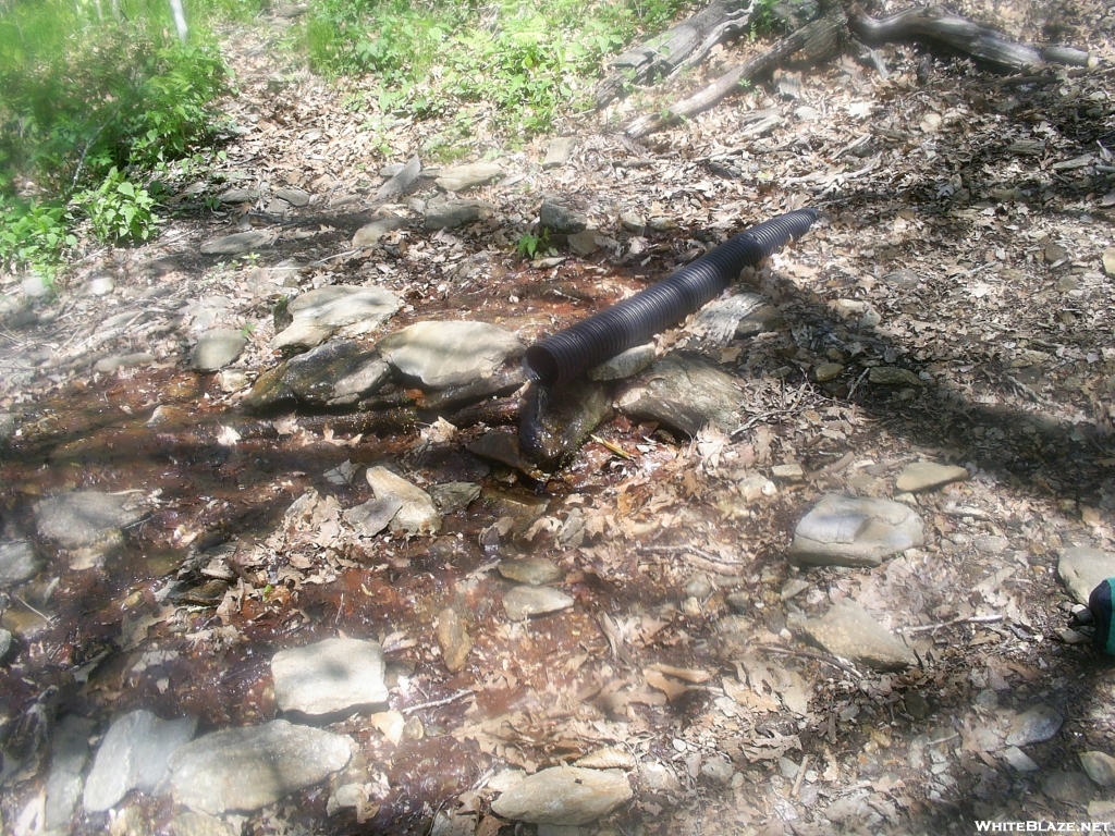 Water source near Standing Indian summit