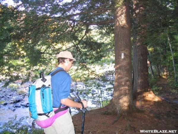 AT along West Branch of the Piscataquis River