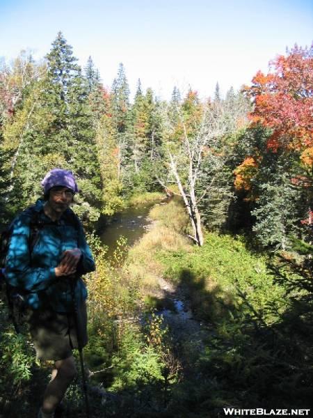 Bald Mountain Stream