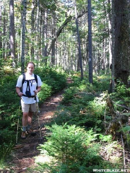 AT near Bald Mountain Stream crossing