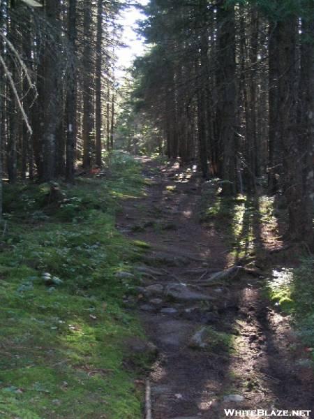 AT near Bald Mountain Brook Lean-to