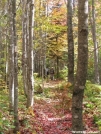 AT south of Pleasant Pond by Askus3 in Trail & Blazes in Maine