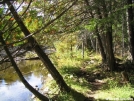 Pierce Pond Stream