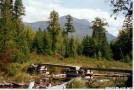 AT bridge over Tracy Pond outlet by Askus3 in Trail & Blazes in Maine