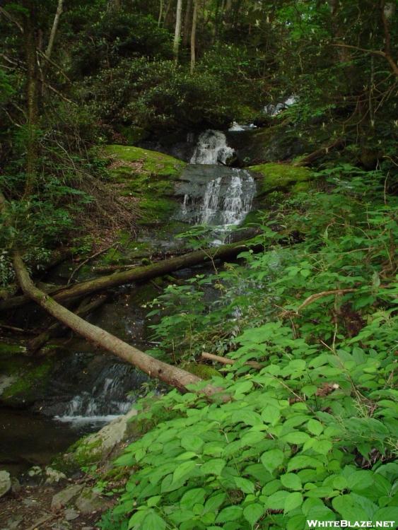 Stream just north of Davenport Gap