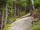 Kinsman Trail 3 by fancyfeet in Trail & Blazes in New Hampshire