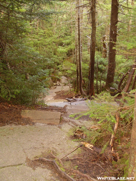 Lookin' Down The Fishin' Jimmy Trail