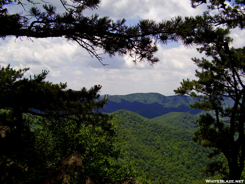 Shenandoah View