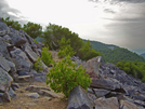 Trail On Blackrock by fancyfeet in Trail & Blazes in Virginia & West Virginia