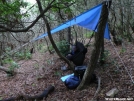 Greentick and Banana Dan by greentick in Hammock camping