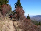 Smokies 1-4 November 2007 by greentick in Section Hikers