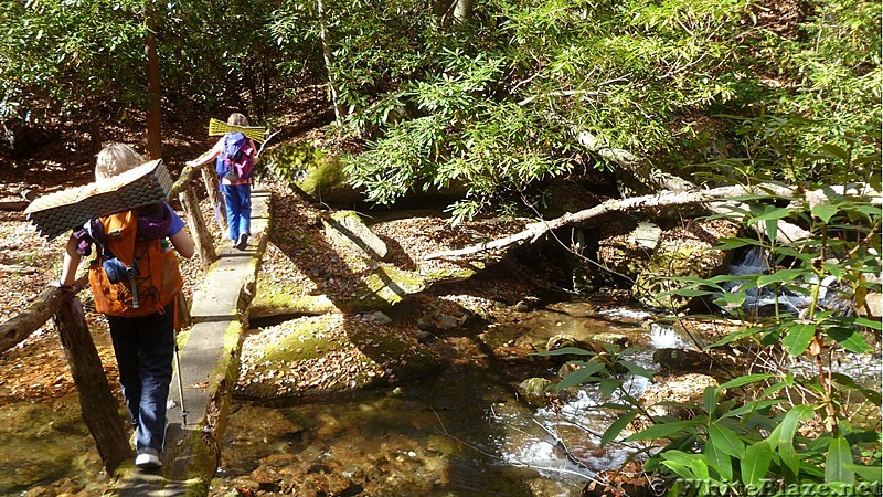 Smokies Loop Oct 2014