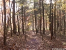 On the trail by greentick in Trail & Blazes in Georgia