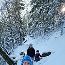 GSMNP Feb2016 by greentick in Section Hikers