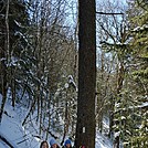 GSMNP Feb2016 by greentick in Section Hikers