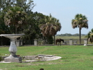 Cumberland Island 9-10 July 2008 by greentick in Other Trails