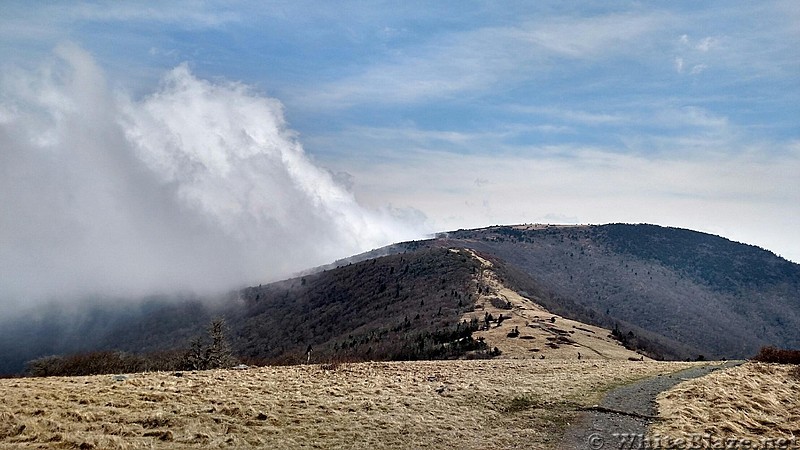 Roan Mtn.