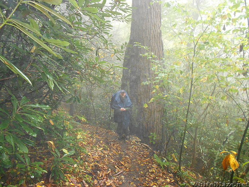 A.T. N. of Max Patch