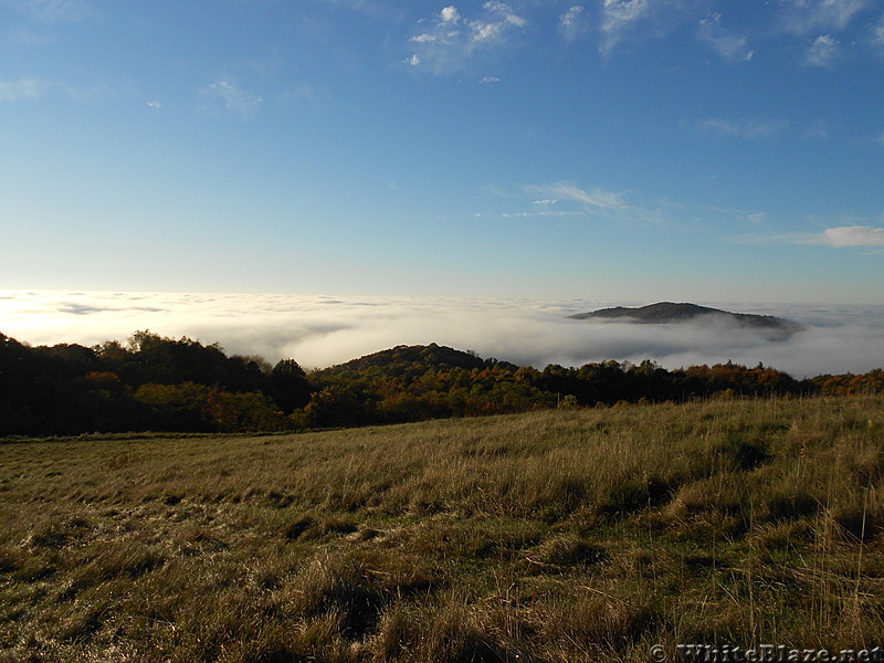 Max Patch