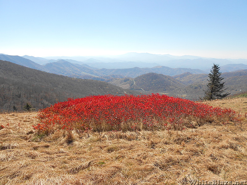 Roan Mtn