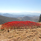 Roan Mtn by hiker37691 in Views in North Carolina & Tennessee