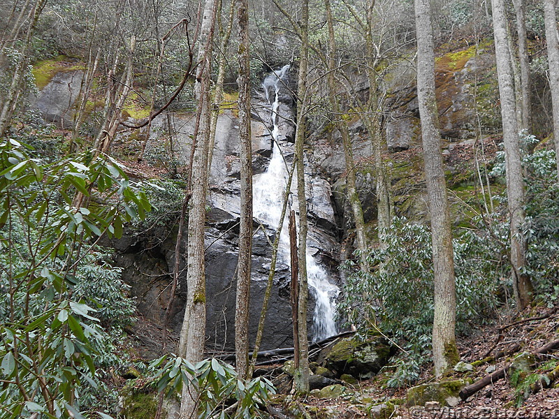 Coon Den Falls